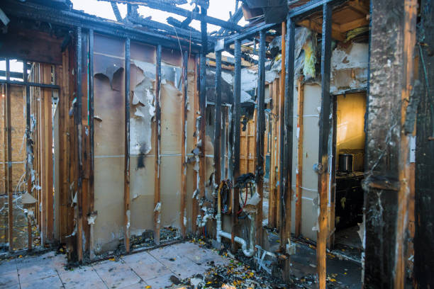 Professional Fire Damage Removal technician working in Oxford, KS